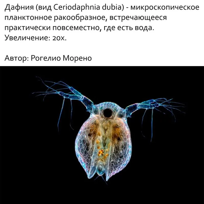 Это интересно!