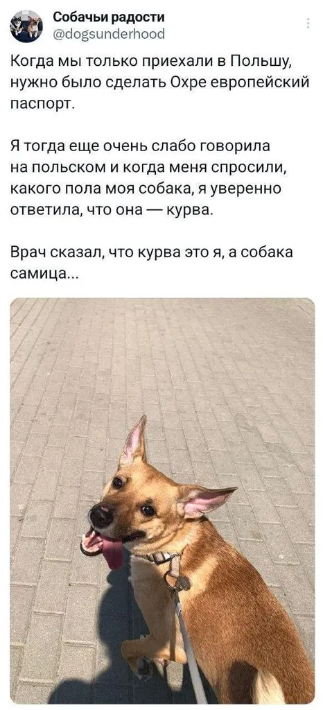Посмеялся сам - поделись с другом!!!
