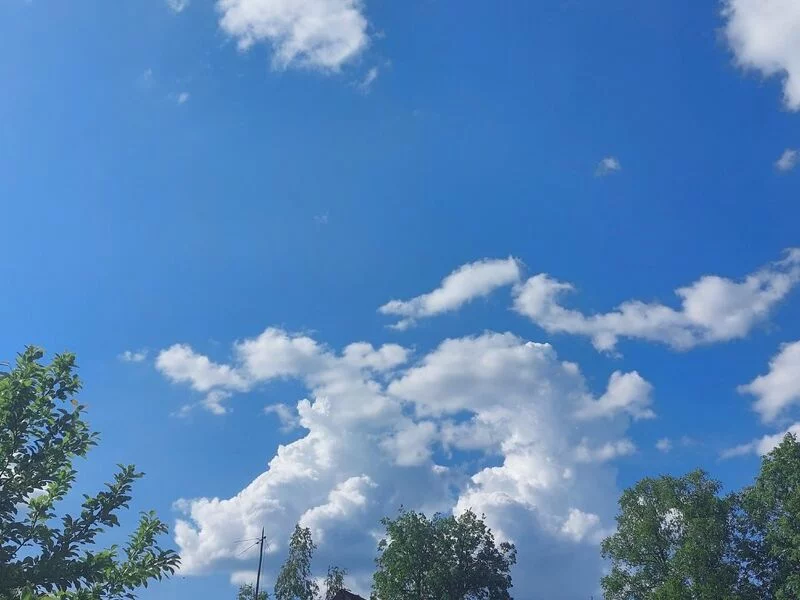 Такое разное небо