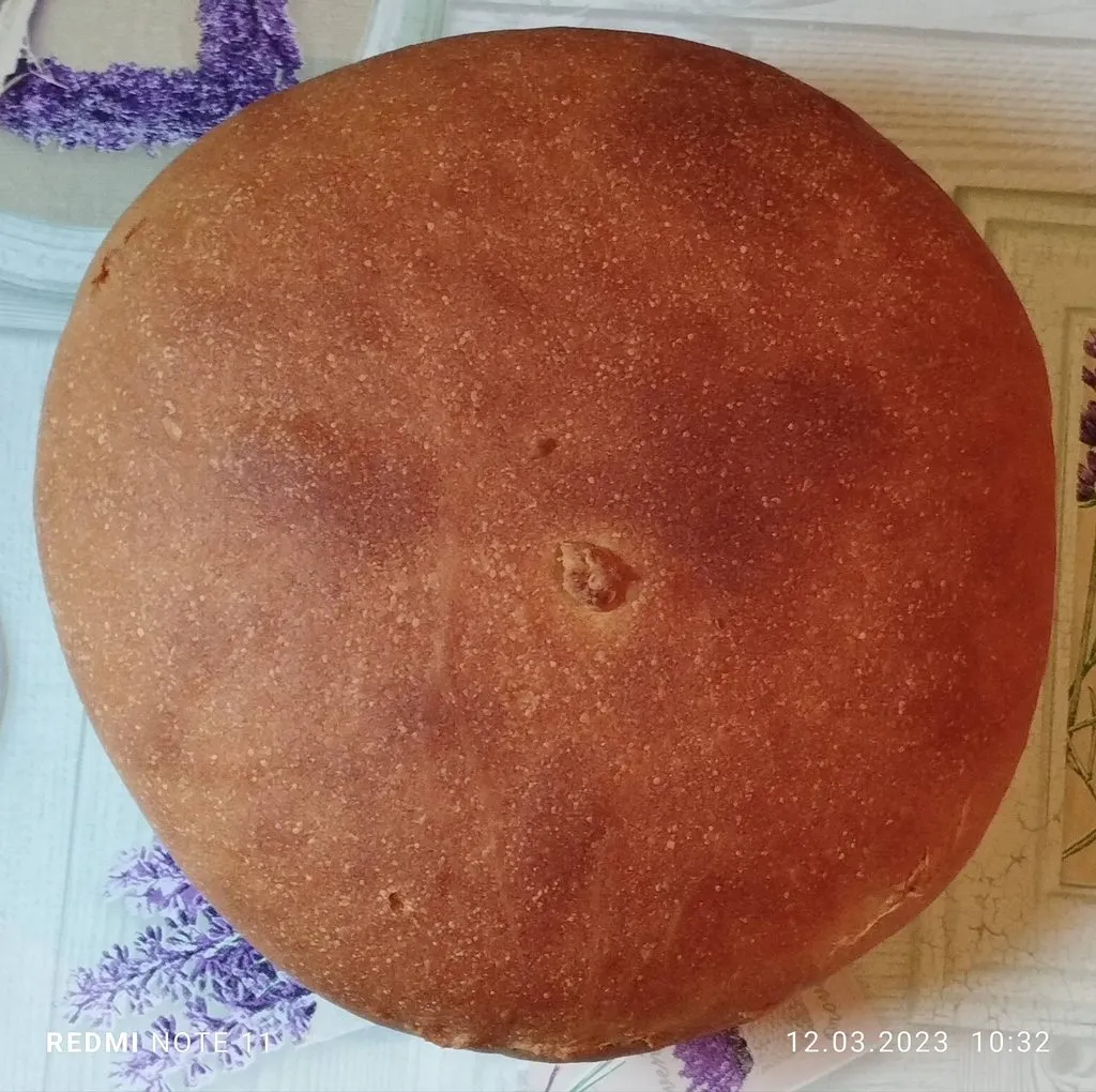 Tapтaлeтки & Ко