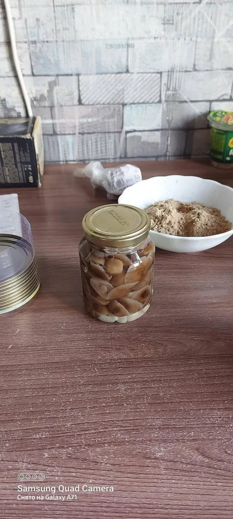 Tapтaлeтки & Ко