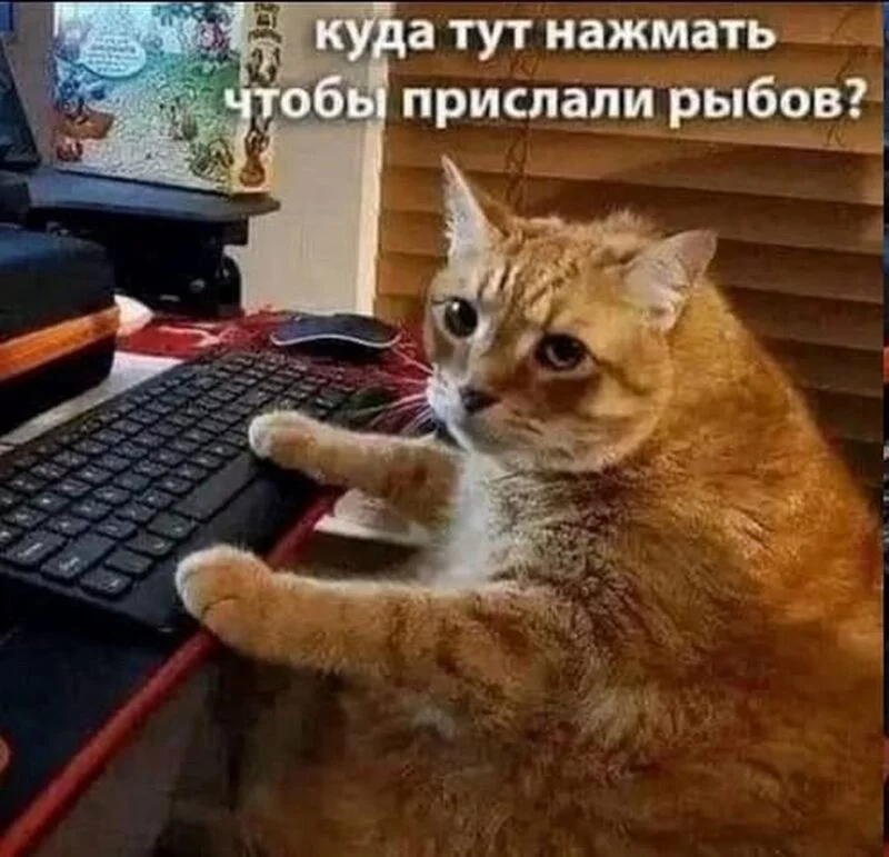 Посмеялся сам - поделись с другом!!!