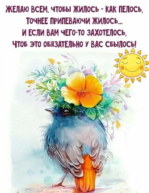Позитивчик (фото, видео, рассказы для хорошего настроения)