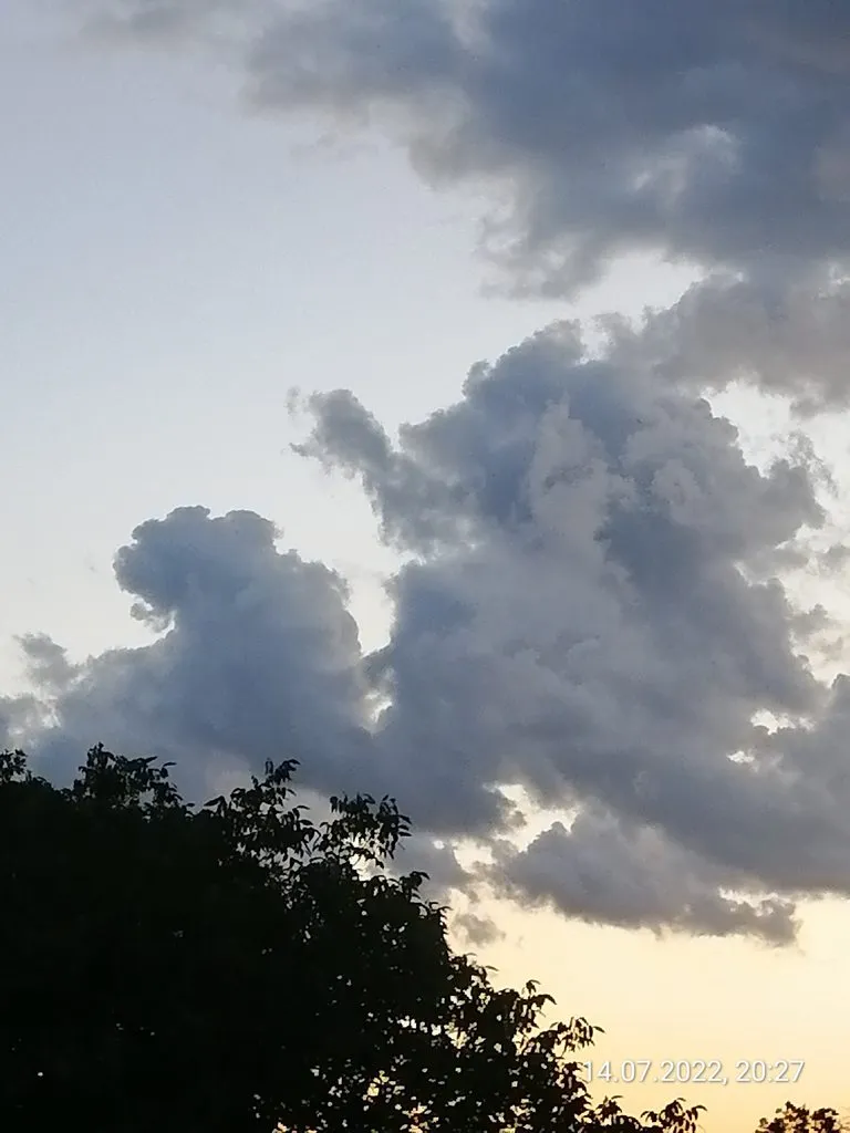 Такое разное небо