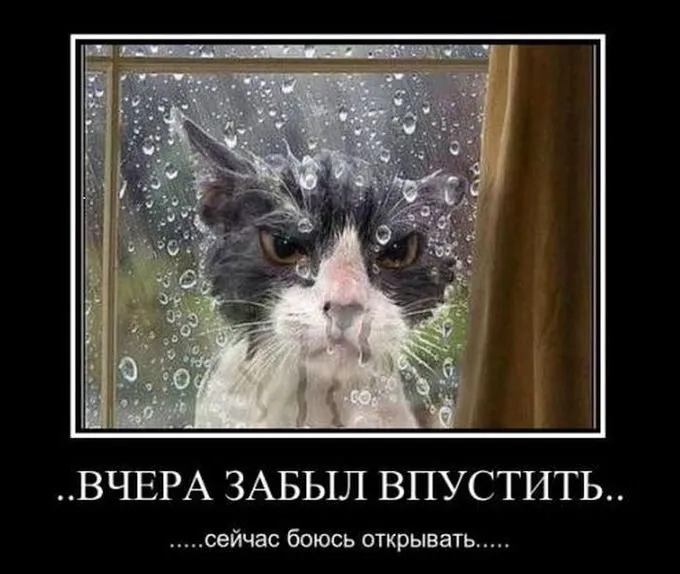 Посмеялся сам - поделись с другом!!!