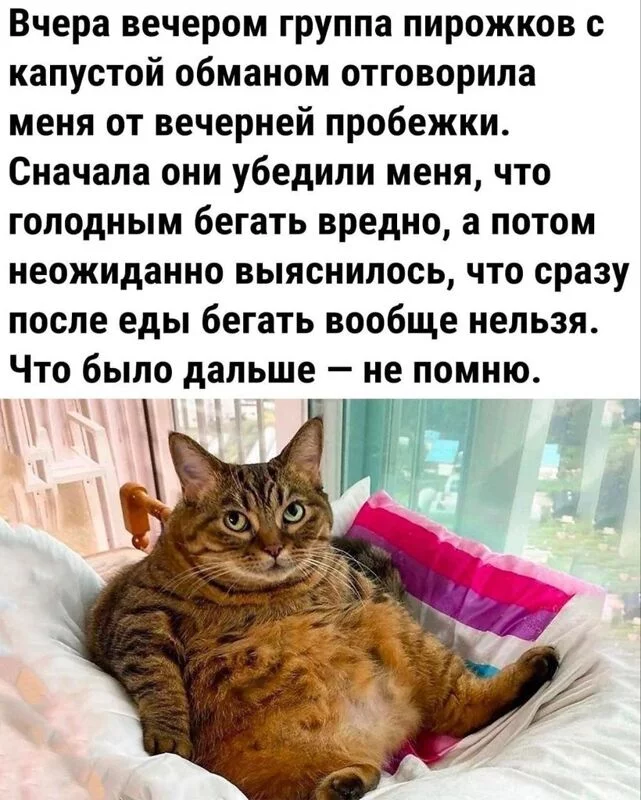 Посмеялся сам - поделись с другом!!!
