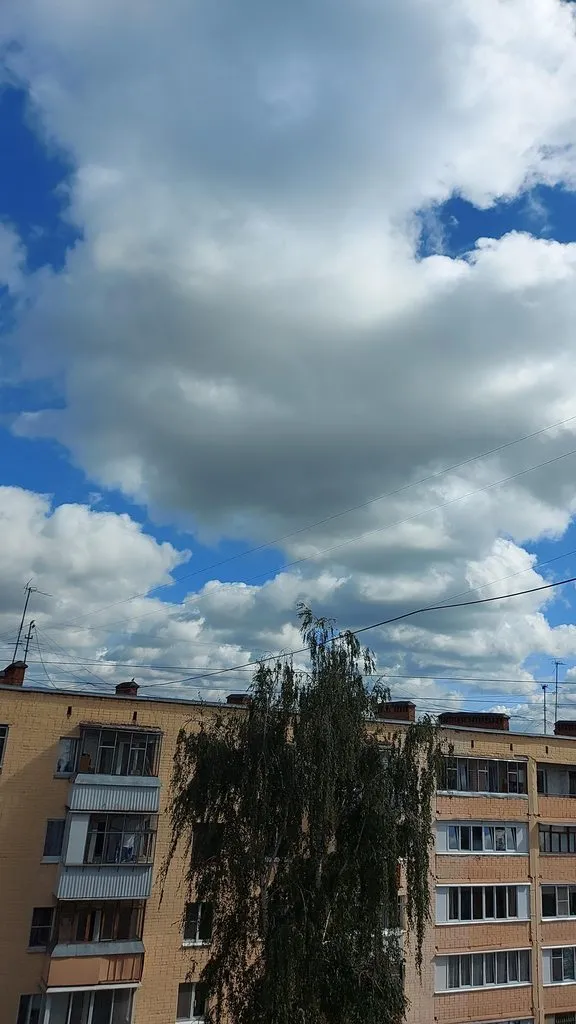 Чайная беседка