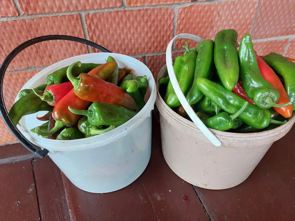 Кафе «У пани Сони»