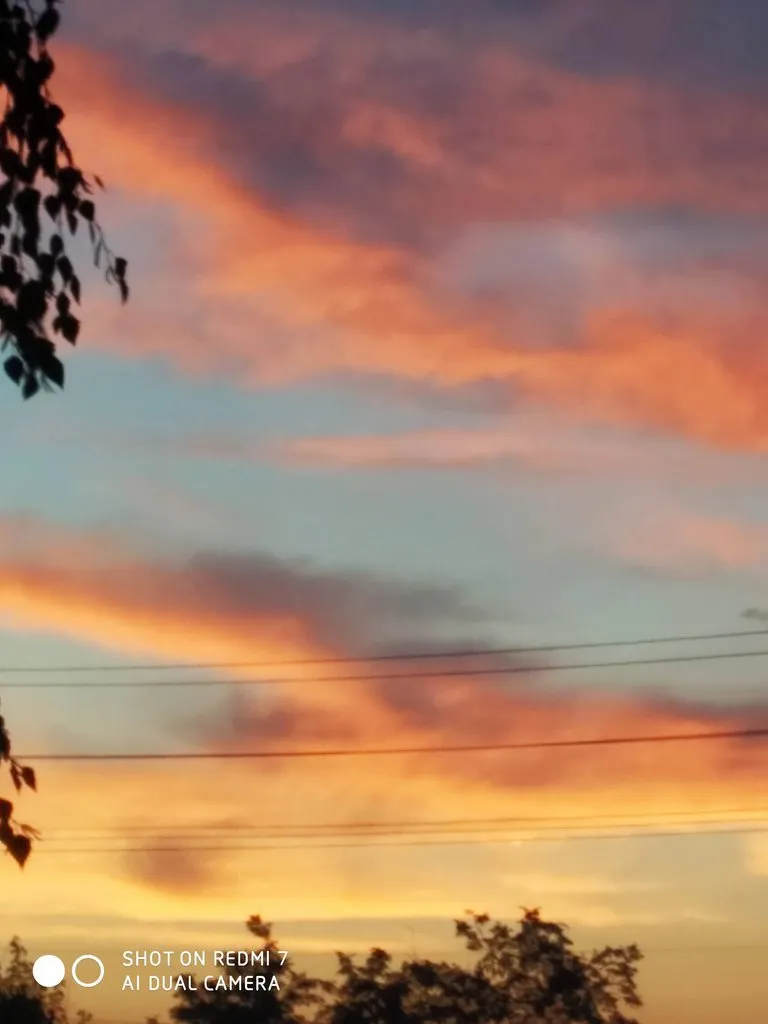 Чайная беседка