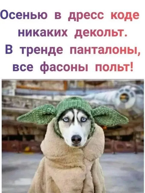 Посмеялся сам - поделись с другом!!!
