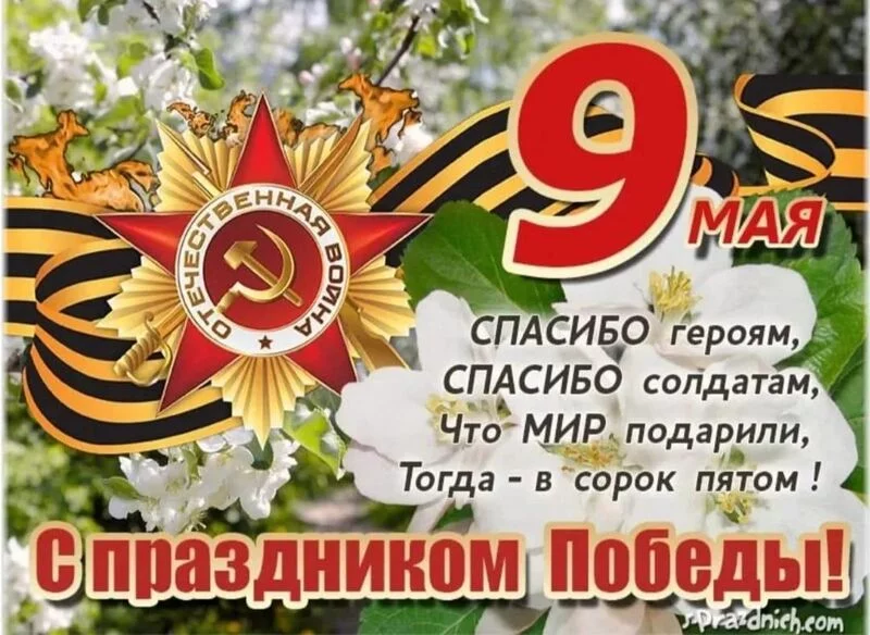 Tapтaлeтки & Ко