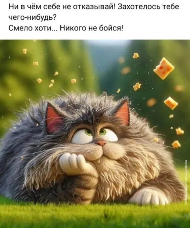 Позитивчик (фото, видео, рассказы для хорошего настроения)