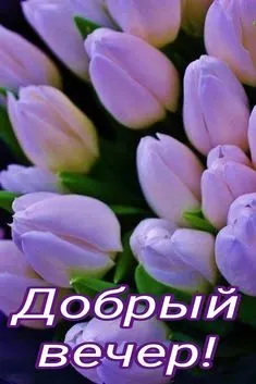 Tapтaлeтки & Ко