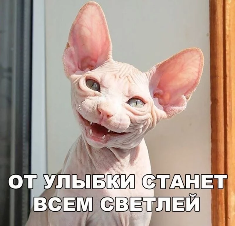 Посмеялся сам - поделись с другом!!!