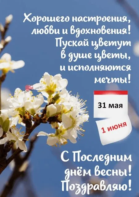 Tapтaлeтки & Ко