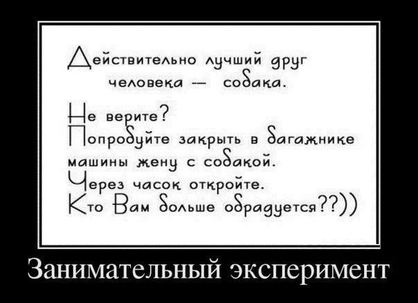 Человек собаке друг!!!