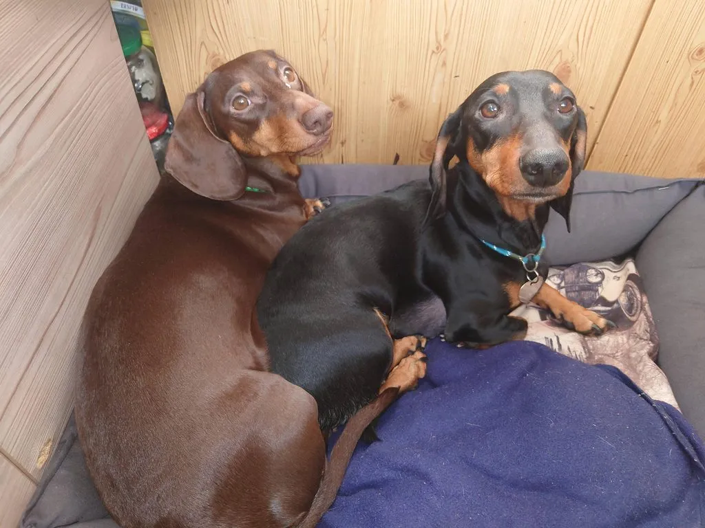 Живой Журнал Жульена