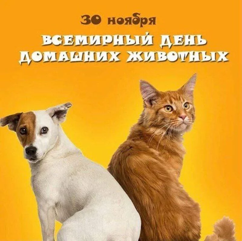 Кафе "У пани Сони"