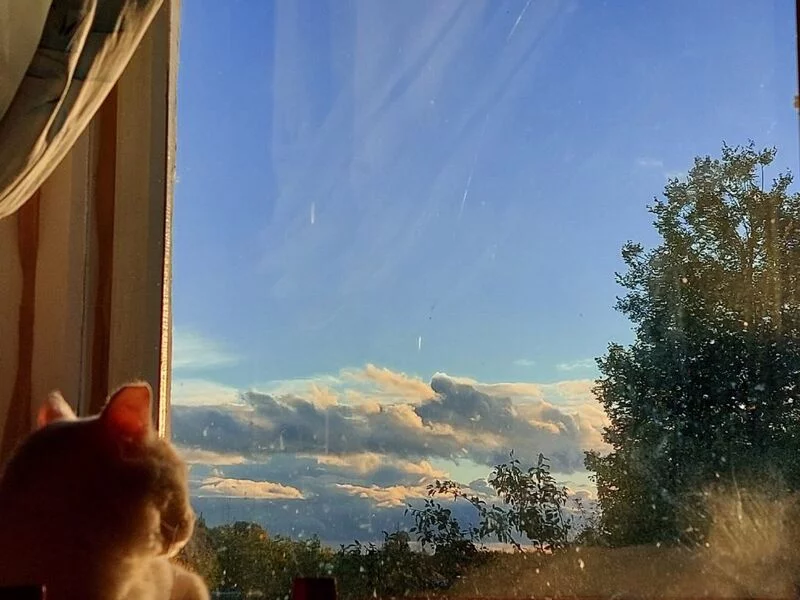 Такое разное небо