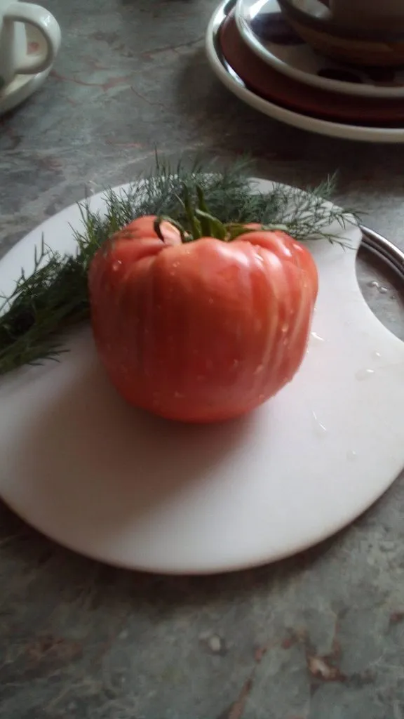 Чайная беседка