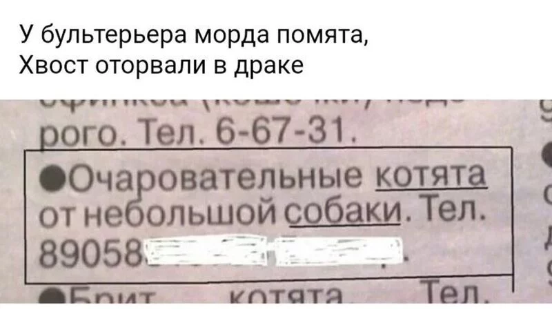 Посмеялся сам - поделись с другом!!!