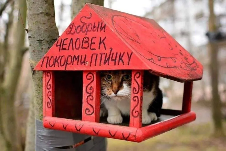 Посмеялся сам - поделись с другом!!!