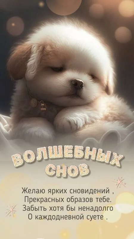 Кафе "У пани Сони"