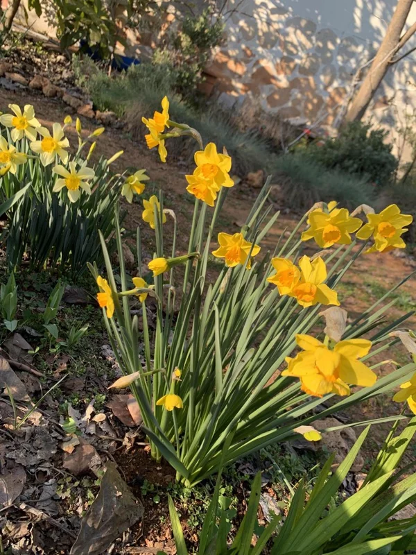 Фотонастроение