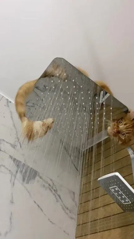 Посмеялся сам - поделись с другом!!!