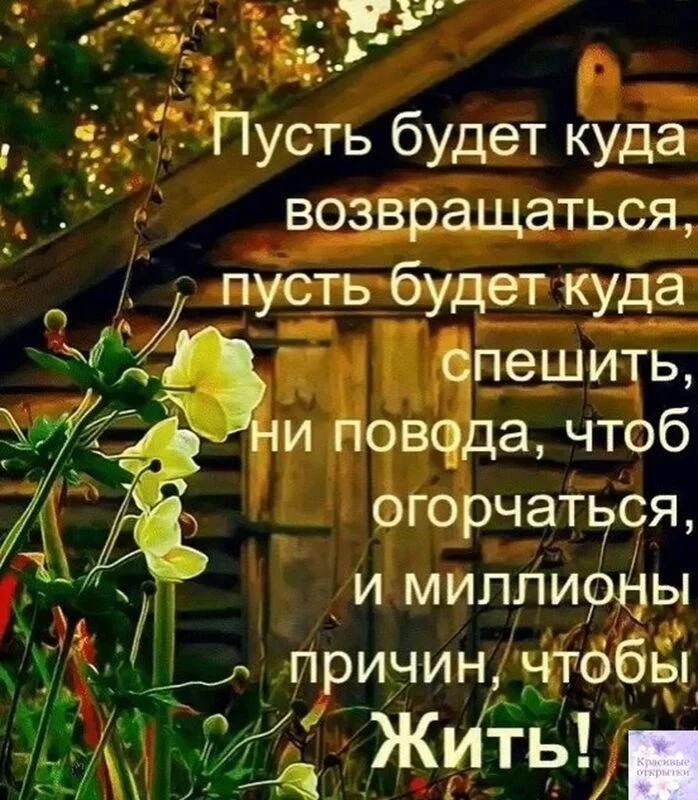 Позитивчик (фото, видео, рассказы для хорошего настроения)