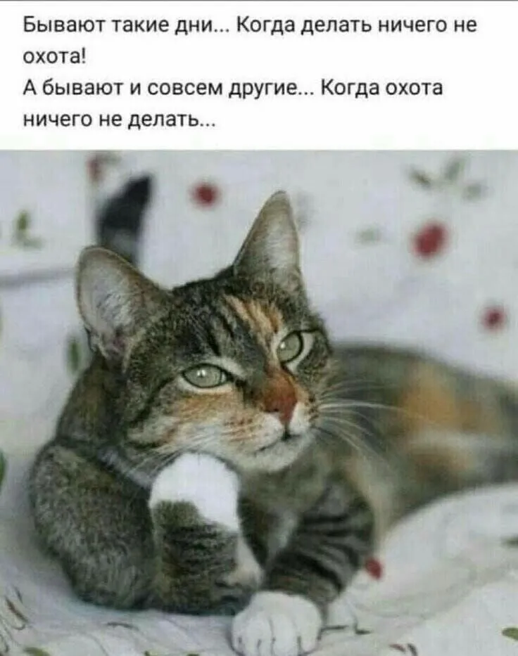 Кафе «У пани Сони»