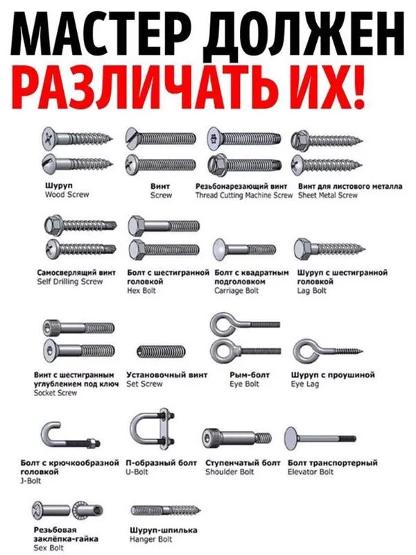 Домашняя инфографика