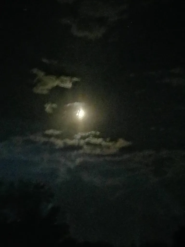 Чайная беседка