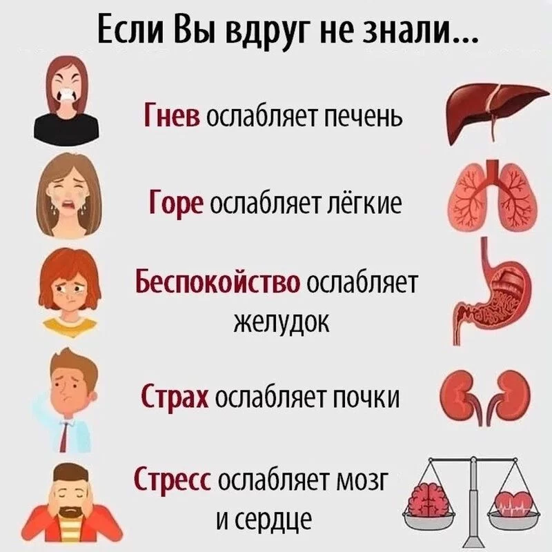 Медицинская инфографика