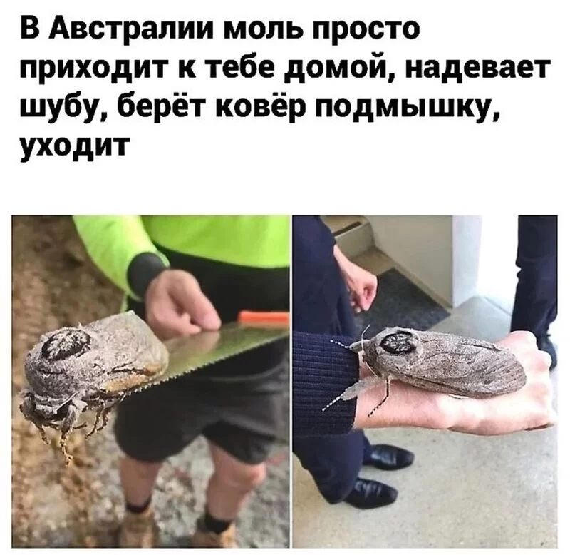 Посмеялся сам - поделись с другом!!!