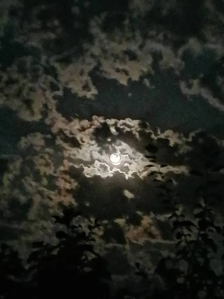 Такое разное небо