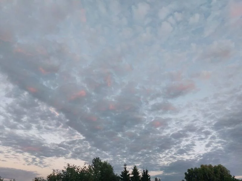 Такое разное небо