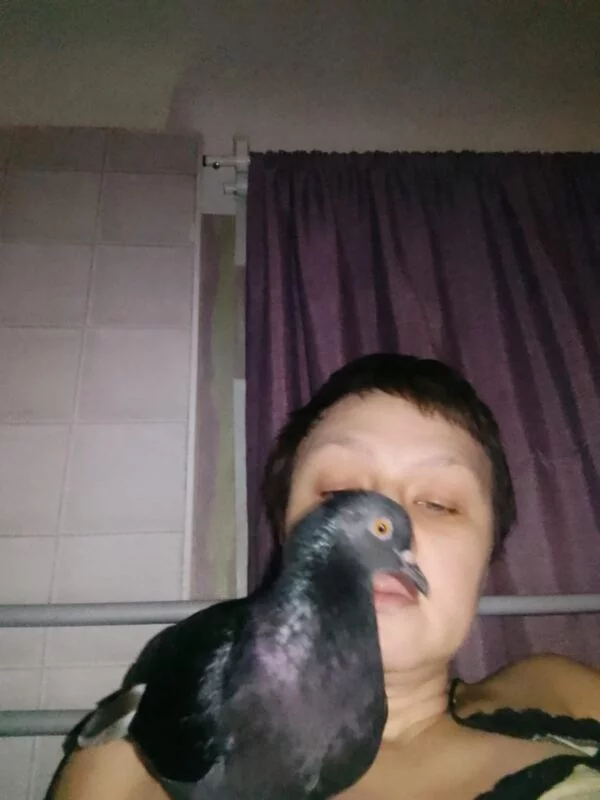Tapтaлeтки & Ко