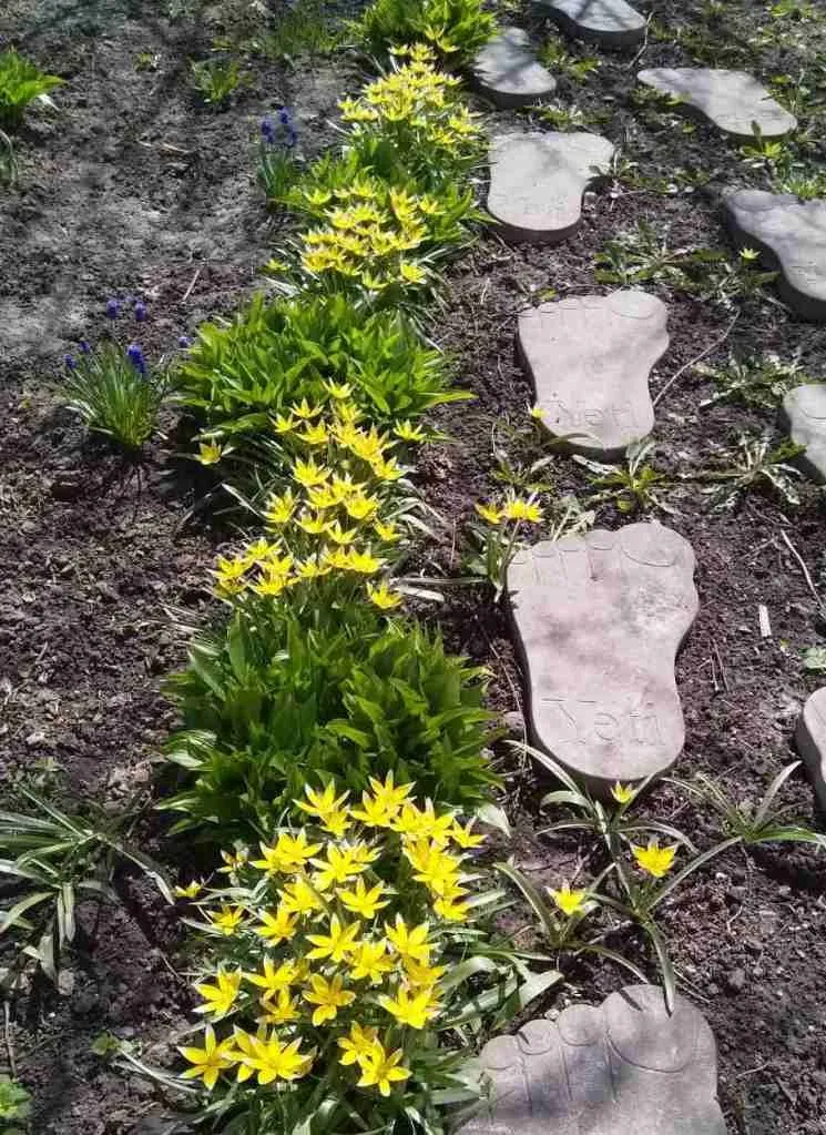 Чайная беседка