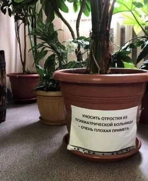 Посмеялся сам - поделись с другом!!!