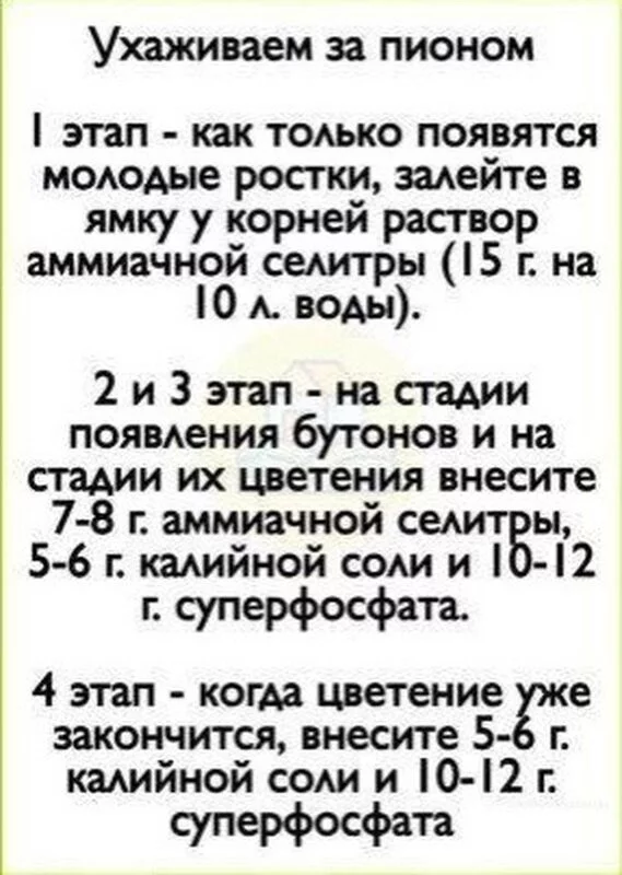 Садово-огородная  инфографика