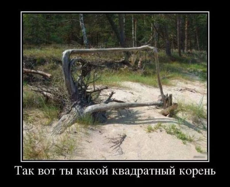 Посмеялся сам - поделись с другом!!!