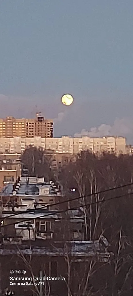 Tapтaлeтки & Ко