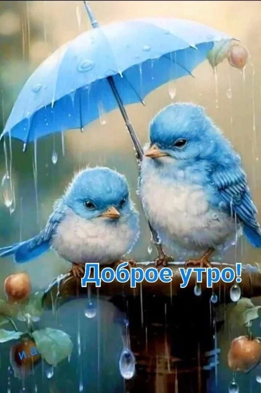 Кафе "У пани Сони"