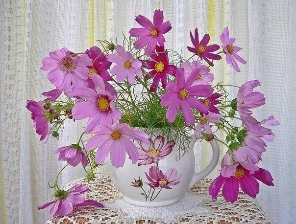 Кафе «У пани Сони»