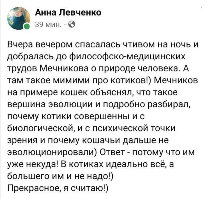 Кафе "У пани Сони"