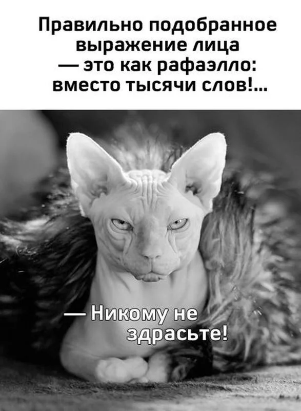 Посмеялся сам - поделись с другом!!!