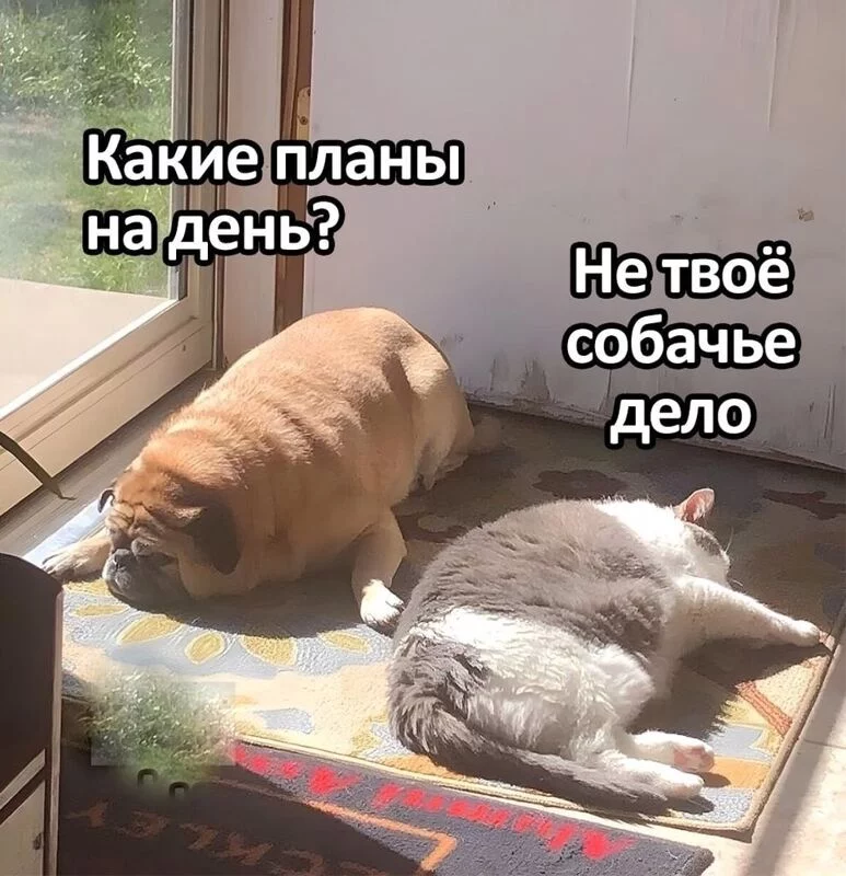 Посмеялся сам - поделись с другом!!!