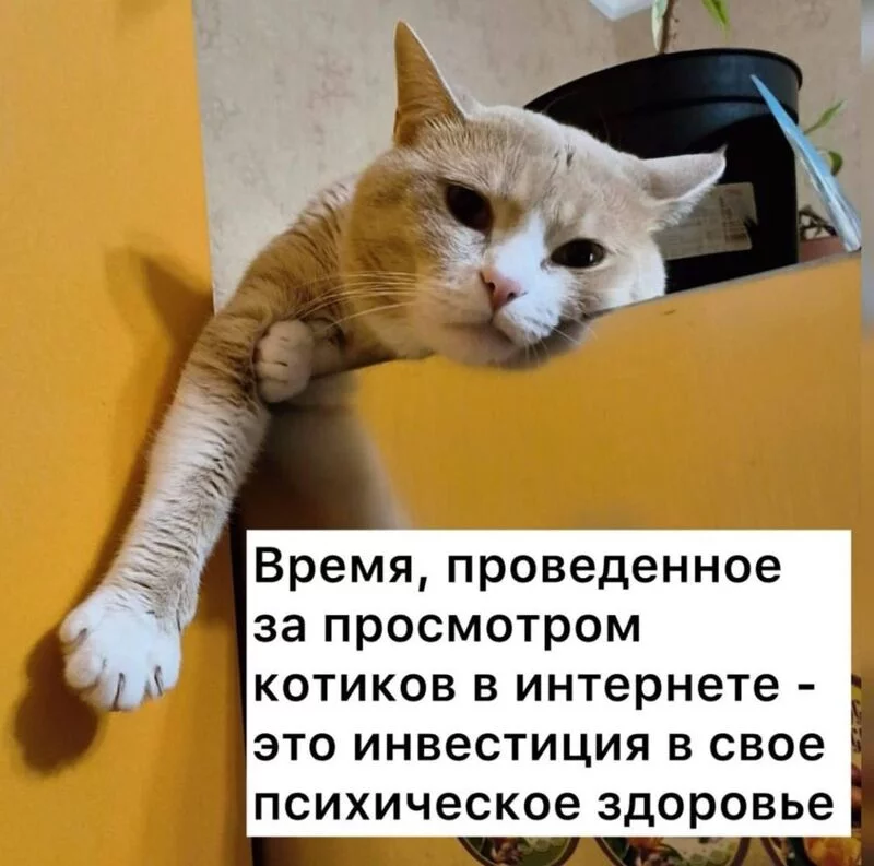 Кафе "У пани Сони"
