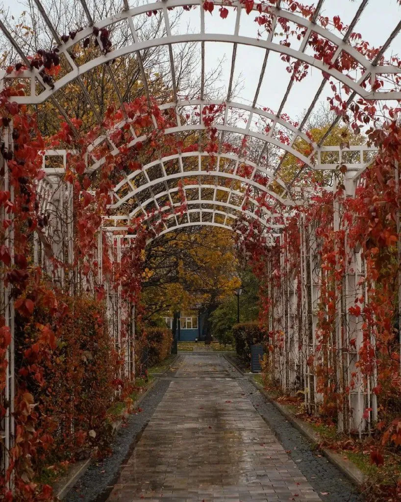 Чайная беседка